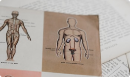 Bệnh Gout ăn cá được không? Nên ăn loại cá nào?